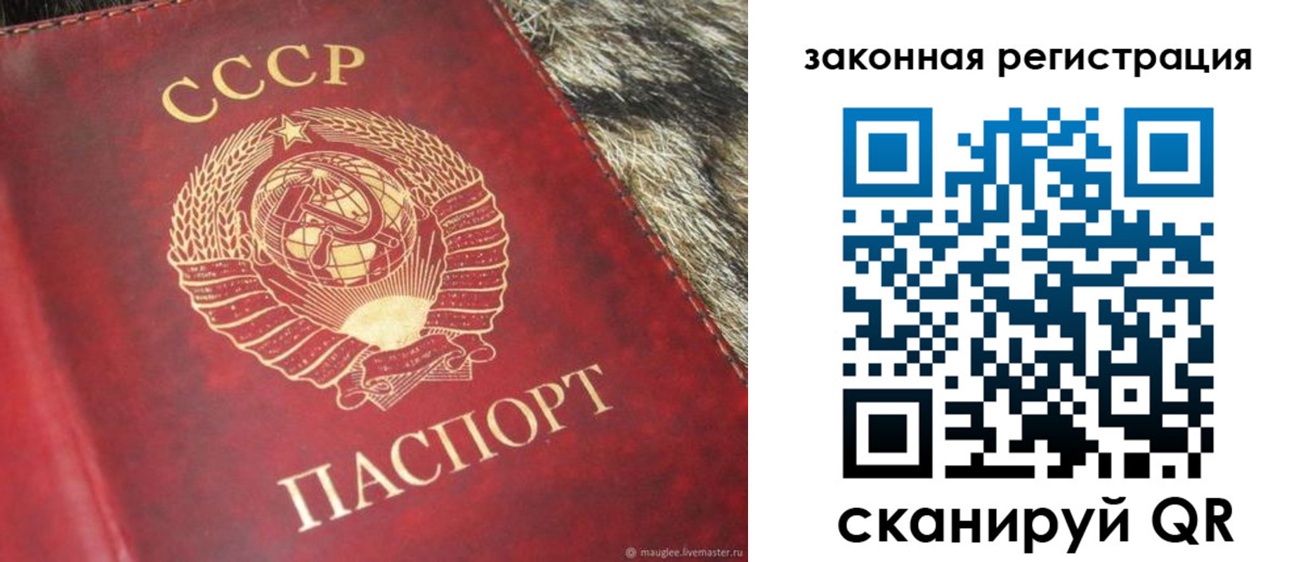прописка от собственника в Струнино